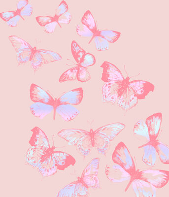Image Not Available